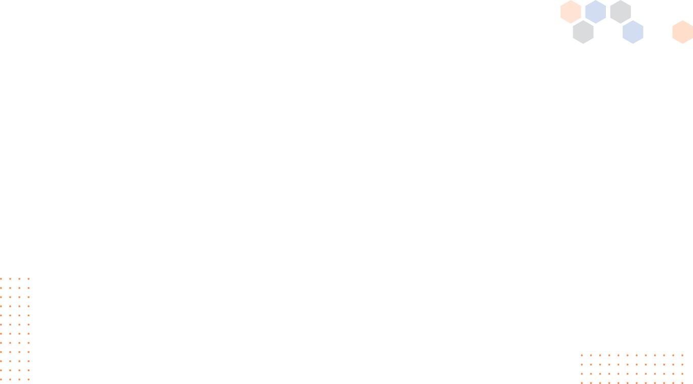 Hero Section